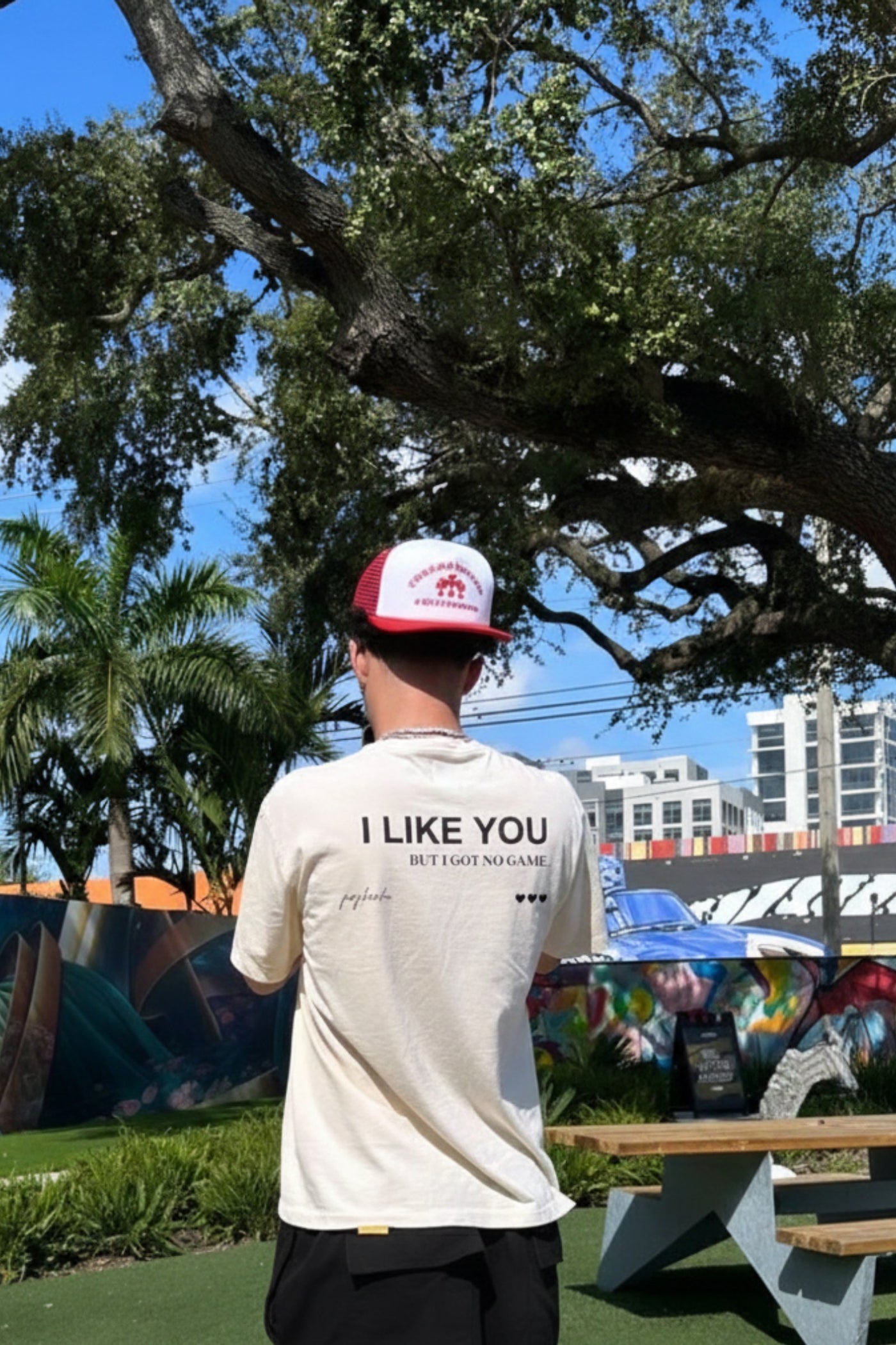 FFS cropped 2:3 | original_media:gid://shopify/MediaImage/30933994307687 | position:5 | Forfksake I Like You White T-Shirt